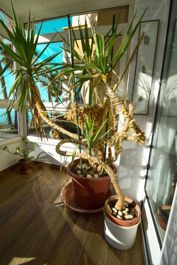 מאלגה P&P Apartamentos Paseo Maritimo Pablo Ruiz Picasso מראה חיצוני תמונה